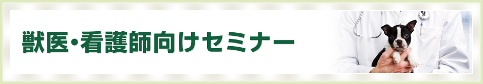 獣医・看護師向けセミナー
