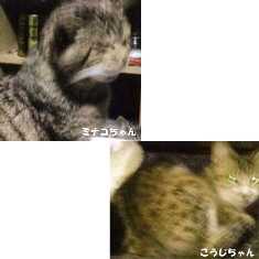 %E3%83%9F%E3%83%8A%E3%82%B3%E3%80%81%E3%81%93%E3%81%86%E3%81%98.jpg