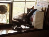 DSC00463-2.jpg