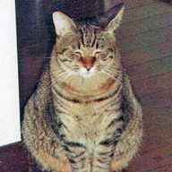 Y0001758.jpg