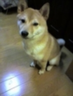 Y0091588.jpg