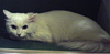 061115_3jpg.jpg