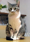 0705-06shimashima.jpg