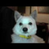 0707-04ren.jpg