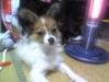 0707-05leo2.jpg