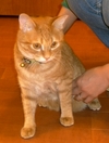 0708-03maron.JPG