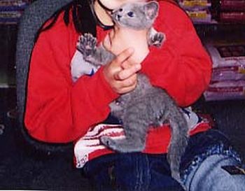 0708-09reina.jpg