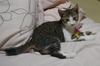 0709-02boggy.jpg