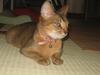0710-03luna.JPG