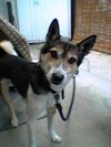0710-08beru.JPG