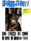 071126hogo.JPG