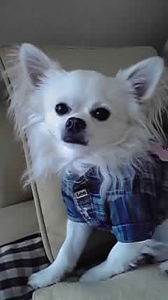 10-09-25_001.jpg