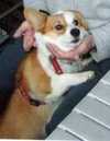 20070404004.jpg