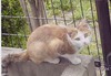 20070406001.jpg