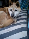 20070409000.jpg