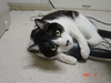20070822001.jpg