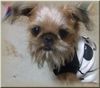 20080701hinata.jpg