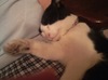 2008080221140000%20maigo1.jpg