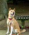 DSC00696-2.jpg