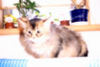 S01083158kurara.jpg