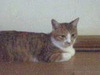 VFSH0056.JPG