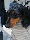 mypic.jpg