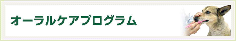 オーラルケアプログラム