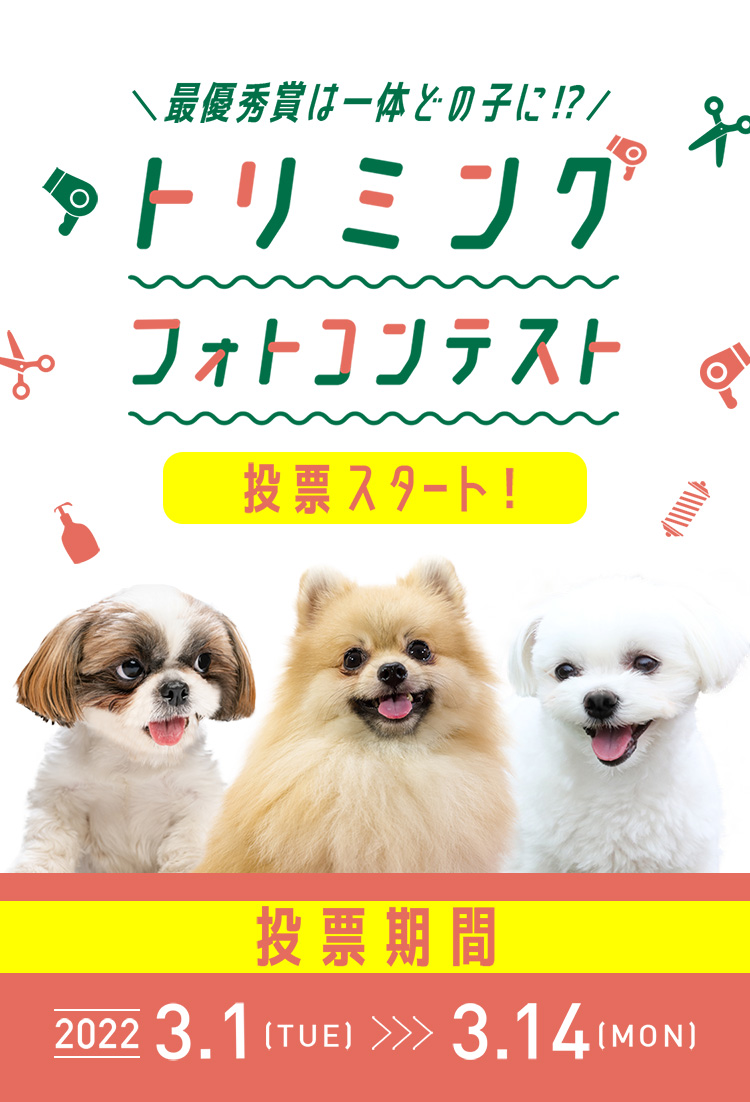 トリミングフォトコンテスト