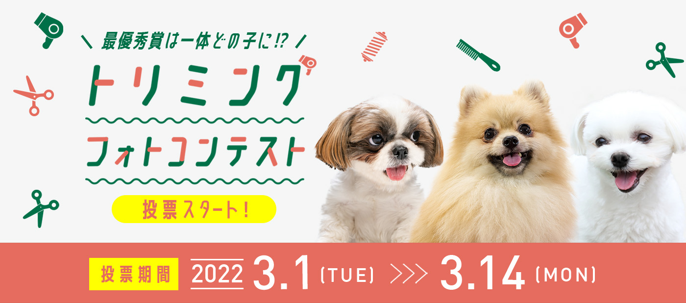 トリミングフォトコンテスト